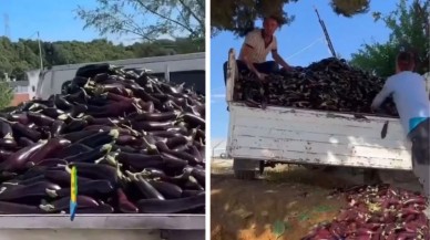 Bir kamyon dolusu patlıcanı çöpe döktüler: Gerekçesini de video çekerek anlattılar!