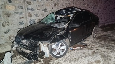 Otomobil ata çarptı: Metin Koçin öldü,  5 yaralı