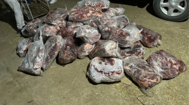 Aydın'da 1 ton domuz eti ele geçirildi!