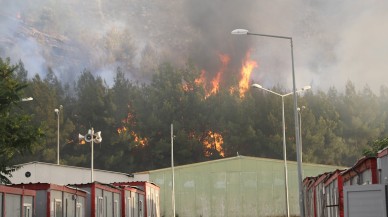 Gaziantep'te orman yangını. Suriyeliler tahliye edildi