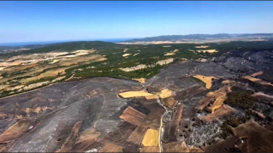 Çanakkale'nin 2 ilçesinde yangın çıkmıştı: Yaşanan kayıp belli oldu!