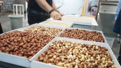 Türkiye'nin gıda devi iflas etti: Yüzlerce çalışan işsiz kaldı