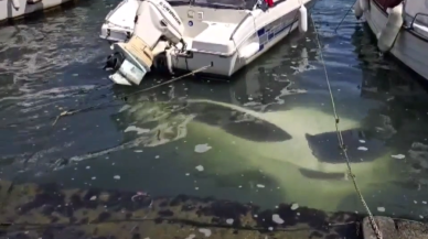 İstanbul'da akıllara durgunluk veren olay! Sürücü son anda kurtuldu, otomobil denize düştü