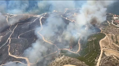 Çeşme'de orman yangını!