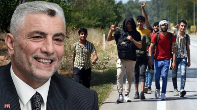 Bakan Bolat: ''25 bin Afgan çoban gitse tarım,  hayvancılık kalmaz''