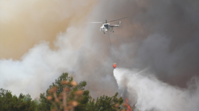 İzmir'de orman yangını!