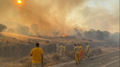 İzmir'in Dikili ilçesinde orman yangını!
