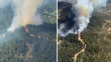 İzmir Ödemiş'te orman yangını!
