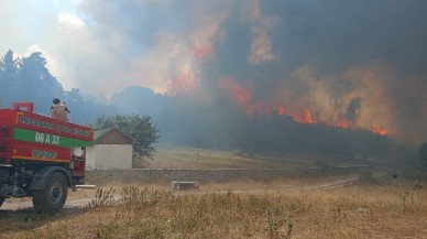 Ankara'da başlayan orman yangını Bolu'ya sıçradı. Bir köy boşaltıldı
