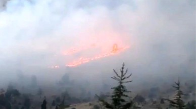 Üç ilde birden orman yangını çıktı. Ekipler müdahale ediyor