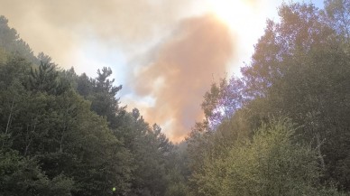 Afyonkarahisar'da orman yangını: Müdahaleler sürüyor!