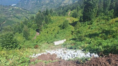 Tokat'ta kamyon 30 metre  uçuruma yuvarlandı: 1 yaralı