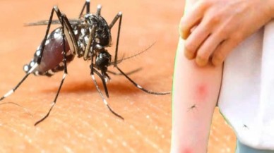 Sağlık Bakanlığı'ndan Batı Nil Virüsü açıklaması: 6 kişide tespit edildi