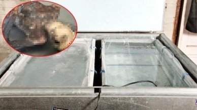 İşyerinde buzdolabının arkasına düşen adamın cesedi 10 yıl sonra bulundu