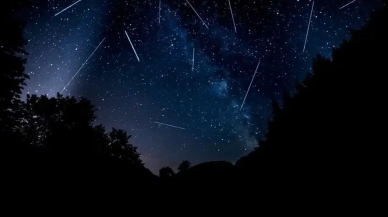 Gökyüzüne o tarihlerde dikkat! Perseid meteor yağmurları izlenebilecek