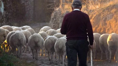 Yeni Bir Başlangıç: Küçük Şehirlerde Hayatın Avantajları ve Dezavantajları