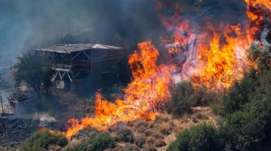 İzmir,  Bolu,  Ödemiş,  Didim,  Bozdoğan yanıyor. Yangınların neden çıktığını bakan açıkladı. Gözaltına alınanlar var