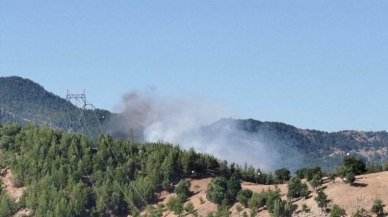Adana'da orman yangını: Yangın helikopteri suya  düştü!