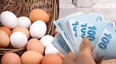 Yumurtaya zam geldi