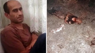 Cinayet mi köpek saldırısı mı? Fatih'teki vahşetin detayları ortaya çıktı