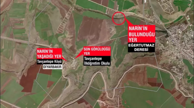 Narin Güran cinayeti: Gözaltı sayısı yükseldi!