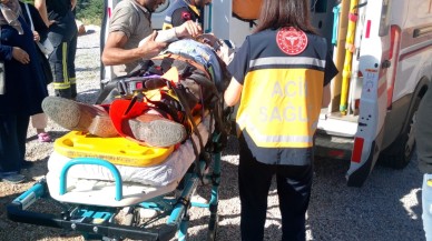 Tuvalet için yol kenarında duran kişi,  40 metrelik uçurumdan düştü