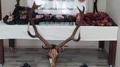 Vurdukları geyikten sucuk yapan kişilere ceza yağdı!