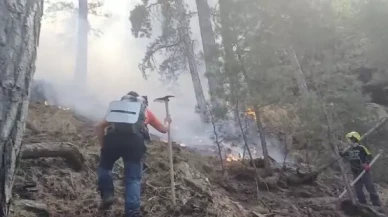 Denizli Karcı Dağı'ndaki orman yangını 3. gününde!
