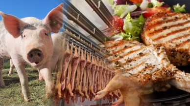 KYK yurt ihaleleri bile bunlara verilmiş: Millete domuz eti yedirmişler!