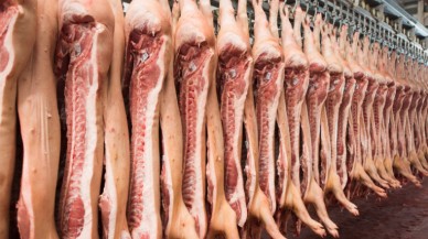 Türkiye Sudan'dan domuz eti mi ithal ediyor? Beklenen açıklama geldi