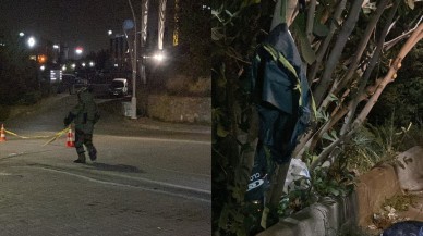 Ağaca asılı şüpheli paket panik yarattı! İçinden çıkan şaşırttı!