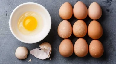 Yumurtanın en faydalı halini uzmanlar paylaştı: Yumurtayı böyle tüketin