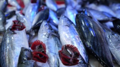 Fırtına dindi,  balık tezgahları şenlendi