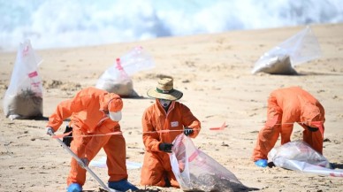 Avustralya sahillerinde vatandaş denize giremiyor: Zehirli petrol paniği!