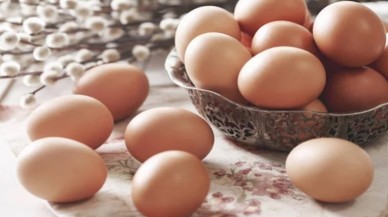 Yumurtalarda bakteri alarmı! Marketlerden toplatılıyor