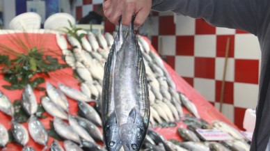 Tezgahlarda palamut bolluğu yaşanıyor