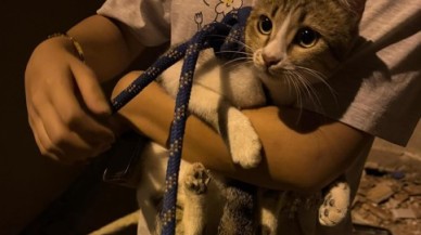 İtfaiye ekipleri kuyuya düşen minik kedi için seferber oldu