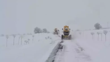 Yoğun kar yağışı sebebiyle eğitime ara verdirildi: İşte tatil edilen iller!