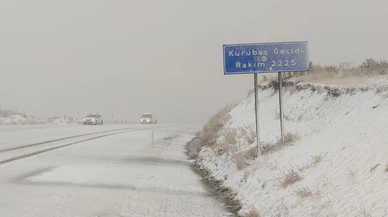 Van'da kar ve yoğun sis yüksek kesimlerde etkili oldu