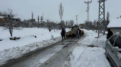 Sert kış en çok hayvancılık yapanları vurdu,  yayladan indiler