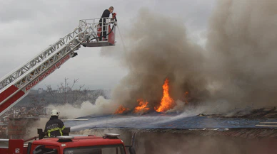 Sokak ortasında korku saçan kişilerin cezası belli oldu