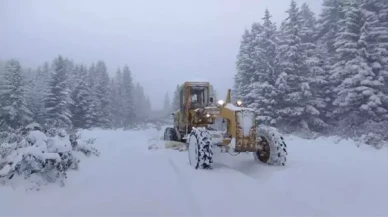 Ordu'da kar esareti: 4 kişi için arama çalışmaları sürüyor!