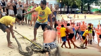 Denizdeki dev piton korku dolu anlar yaşattı!