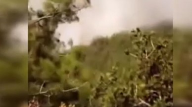 Hatay’da orman yangını: Havadan ve karadan müdahale