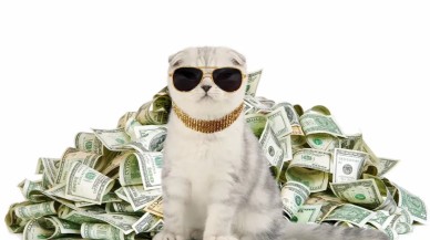 Dünyanın en zengin kedisi belli oldu