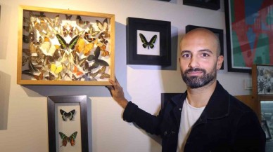 İzmirli Koleksiyonerin İlham Veren Kelebek Hikayesi!