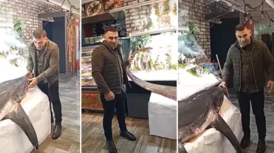 Nesli tehlike altındaki köpek balığını avladı!