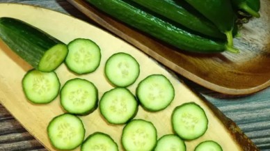 Soğanlarda görülen salmonella salatalıklarda da tespit edildi