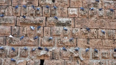 Hadrianus Kapısı: Tarih ve Doğanın Buluştuğu Eşsiz Mekan