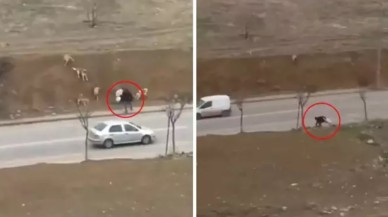 Başkent Ankara'da "İnsanlık ölmüş" dedirten görüntü